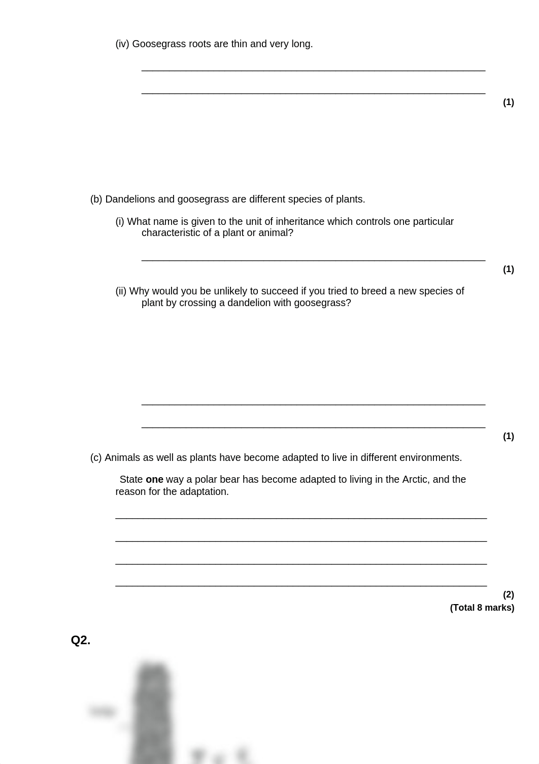 Adaptation-5.pdf_d8ms93lb37d_page2