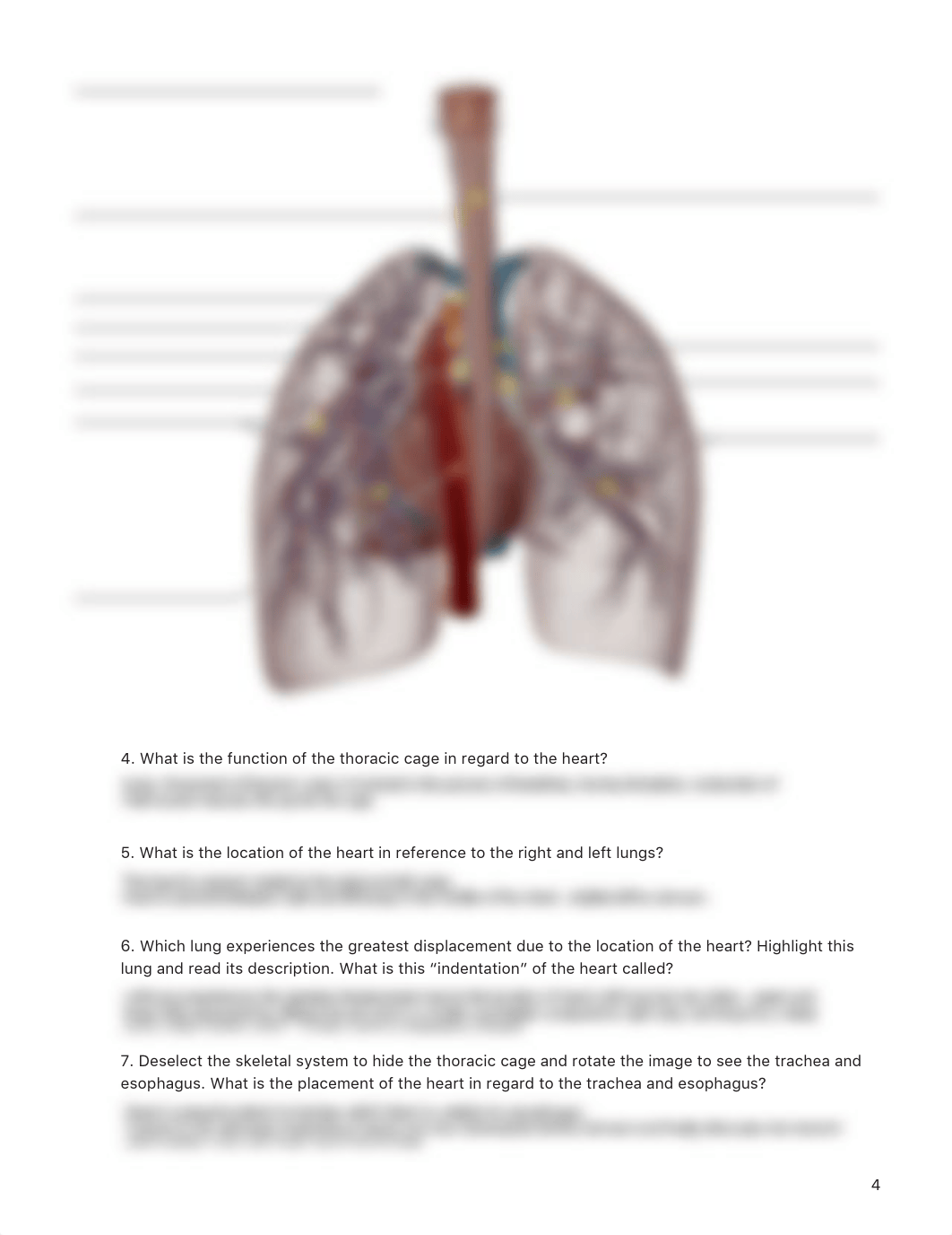 lab manual_human heart_atlas.pdf_d8mx2a4331v_page4