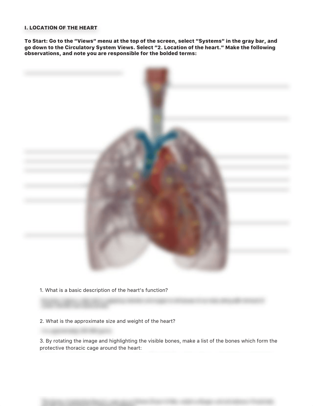 lab manual_human heart_atlas.pdf_d8mx2a4331v_page3