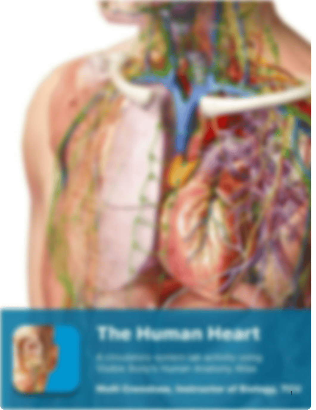 lab manual_human heart_atlas.pdf_d8mx2a4331v_page1