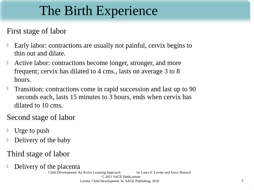 Chapter 5B - Birth & Transition to Parenthood Canvas.pptx_d8n2o2e0pdt_page2