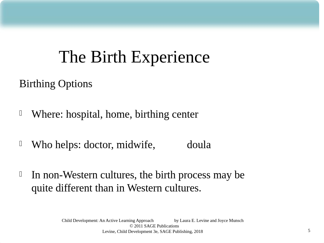 Chapter 5B - Birth & Transition to Parenthood Canvas.pptx_d8n2o2e0pdt_page5