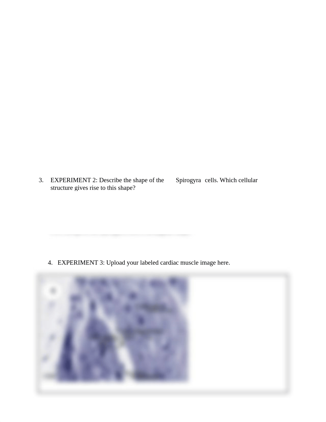 Lab 01 Basic Microscopy Short Answer Questions.docx_d8n4u4e53l0_page2