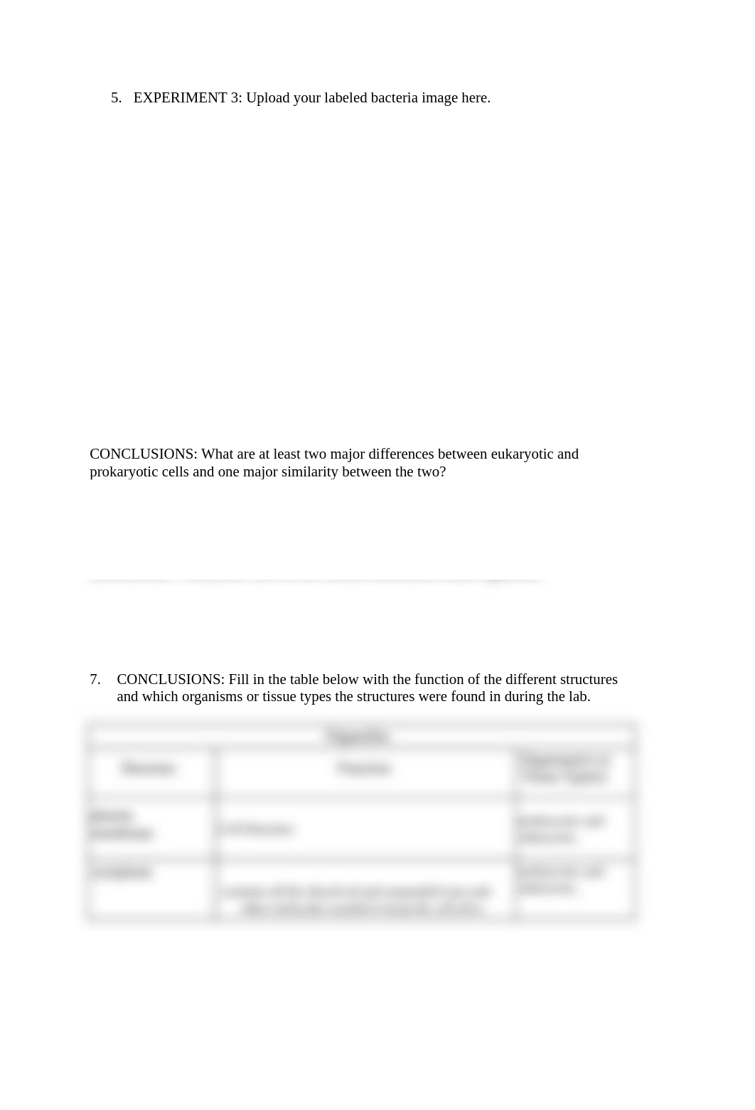 Lab 01 Basic Microscopy Short Answer Questions.docx_d8n4u4e53l0_page3