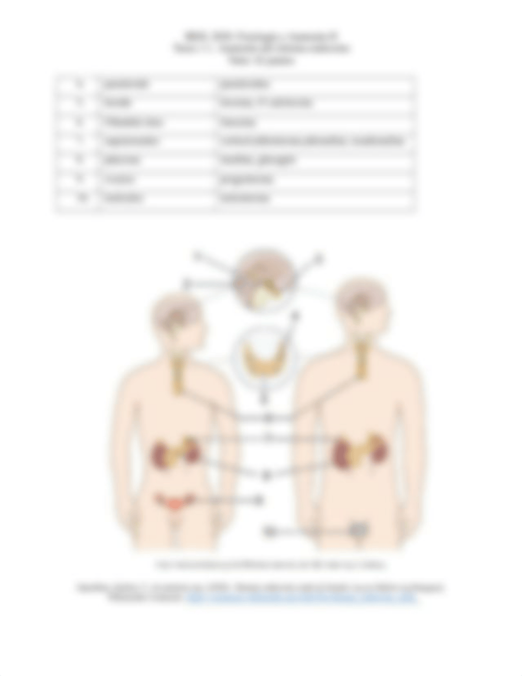 Biol 2020 tarea 1.1.docx_d8n54kiqsl9_page2