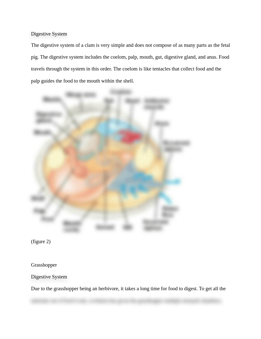 Digestive System_d8n5gire16a_page2