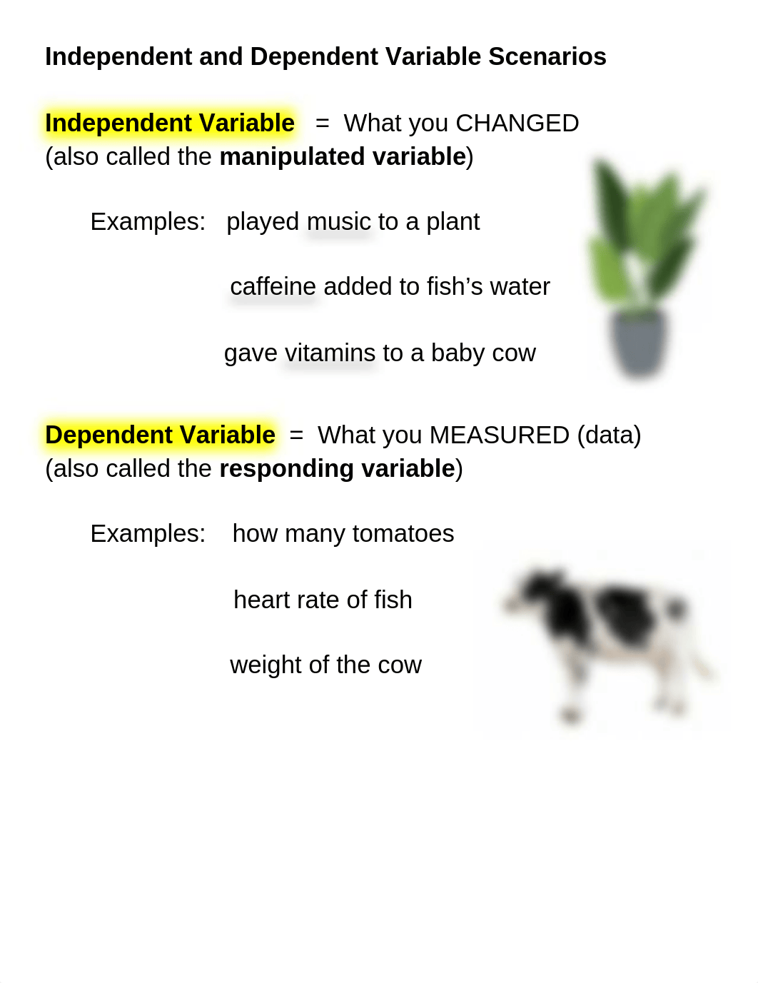 Independent and Dependent Variable Scenarios.docx_d8n91ow9ld4_page1