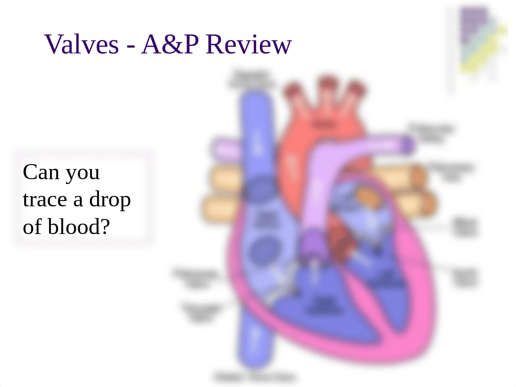 valve disorders from other class.ppt_d8nsoixkslx_page2