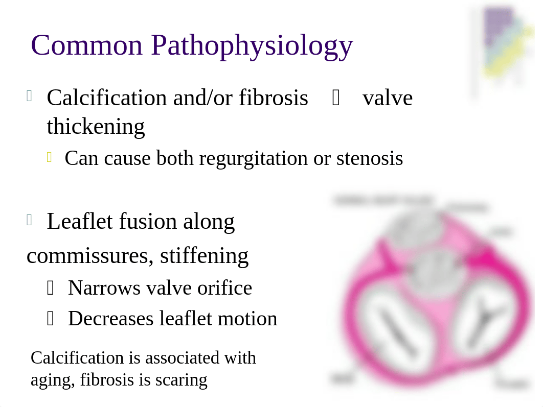 valve disorders from other class.ppt_d8nsoixkslx_page5