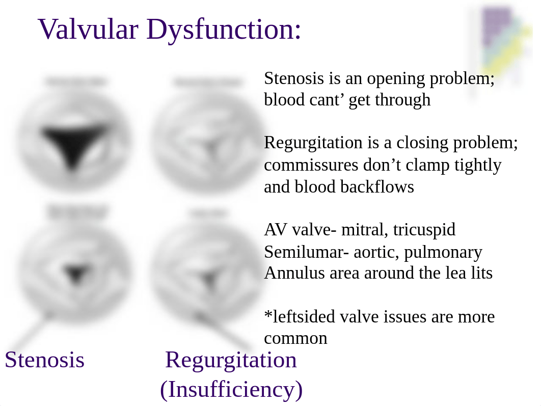 valve disorders from other class.ppt_d8nsoixkslx_page3