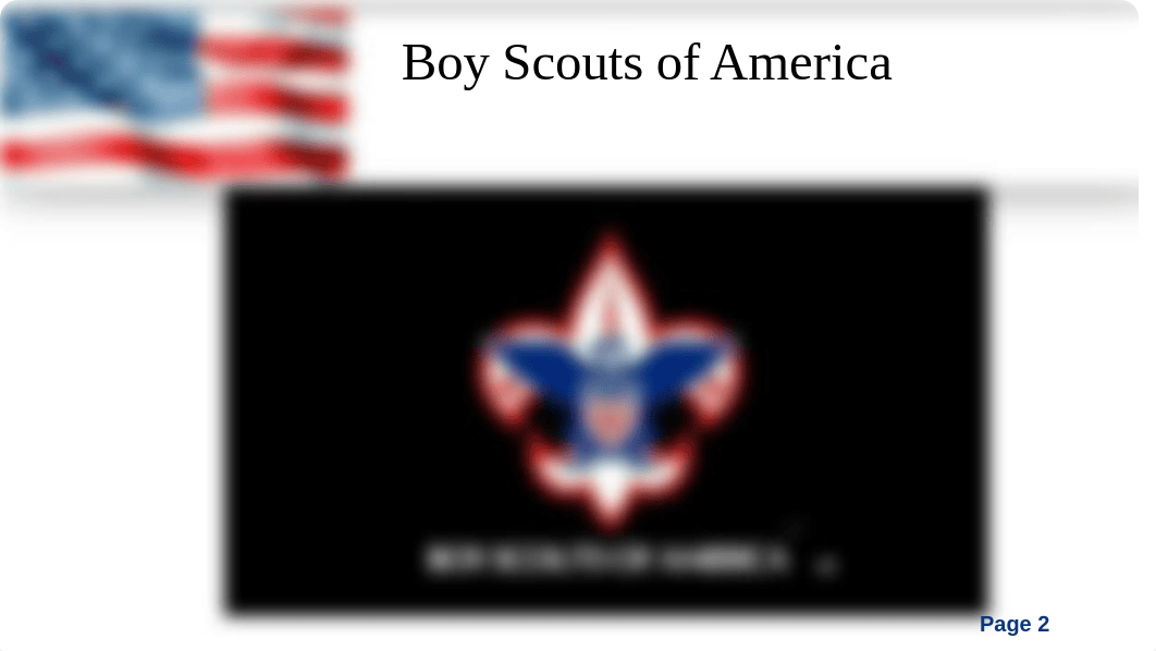 boys scouts of america_d8ntwfj7ppz_page2