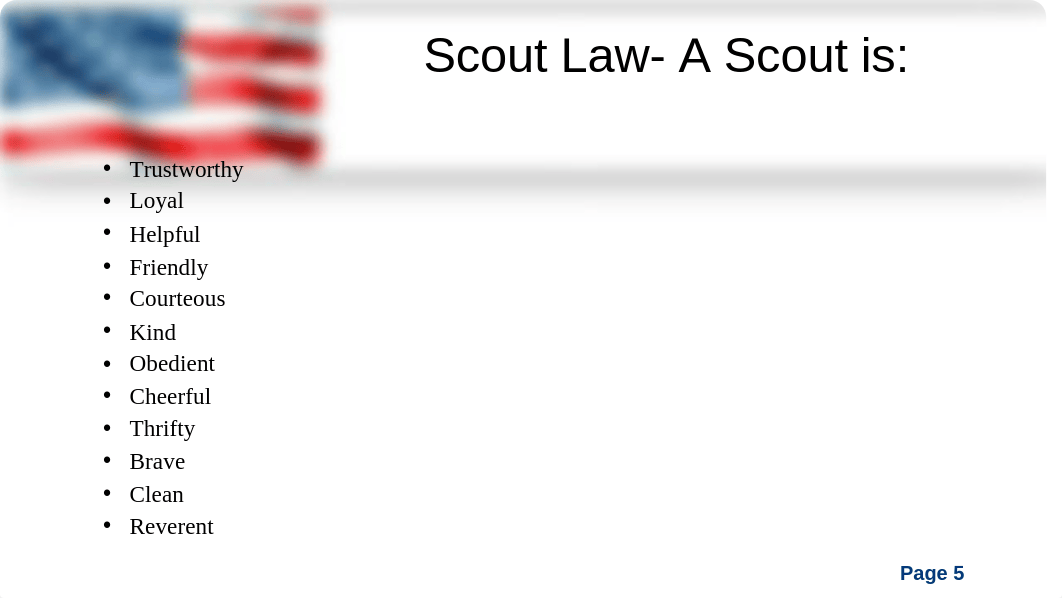 boys scouts of america_d8ntwfj7ppz_page5