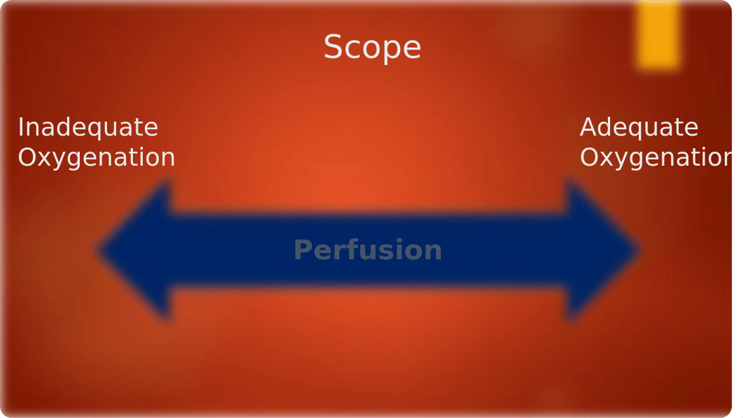 Perfusion 1015.pptx_d8nwn0lheyv_page4