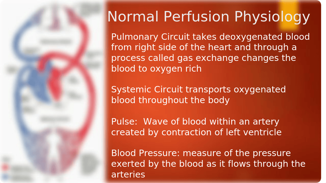 Perfusion 1015.pptx_d8nwn0lheyv_page5