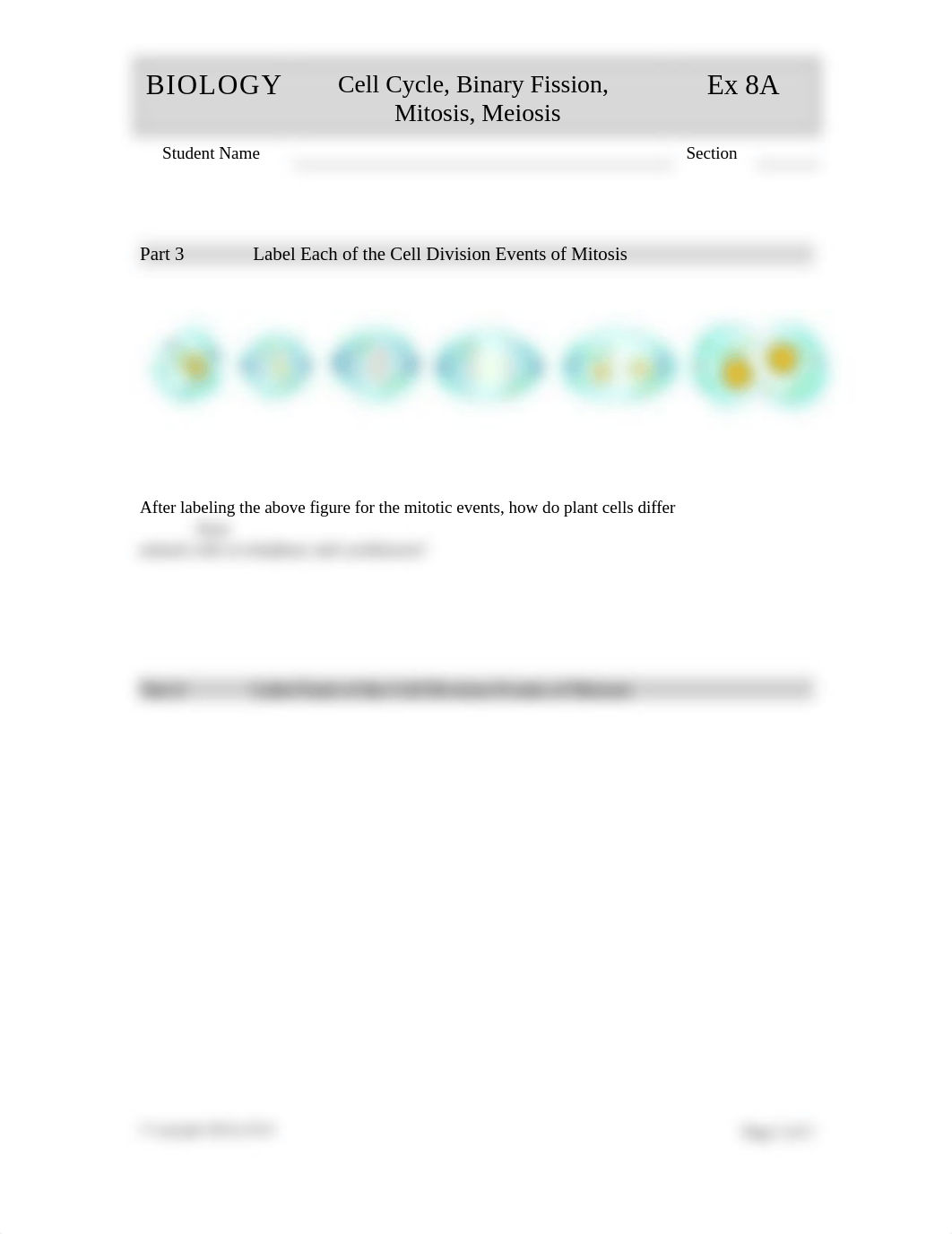 BIOLOGY Exercise 8a Cell Division (4).doc_d8ny9g699ia_page2