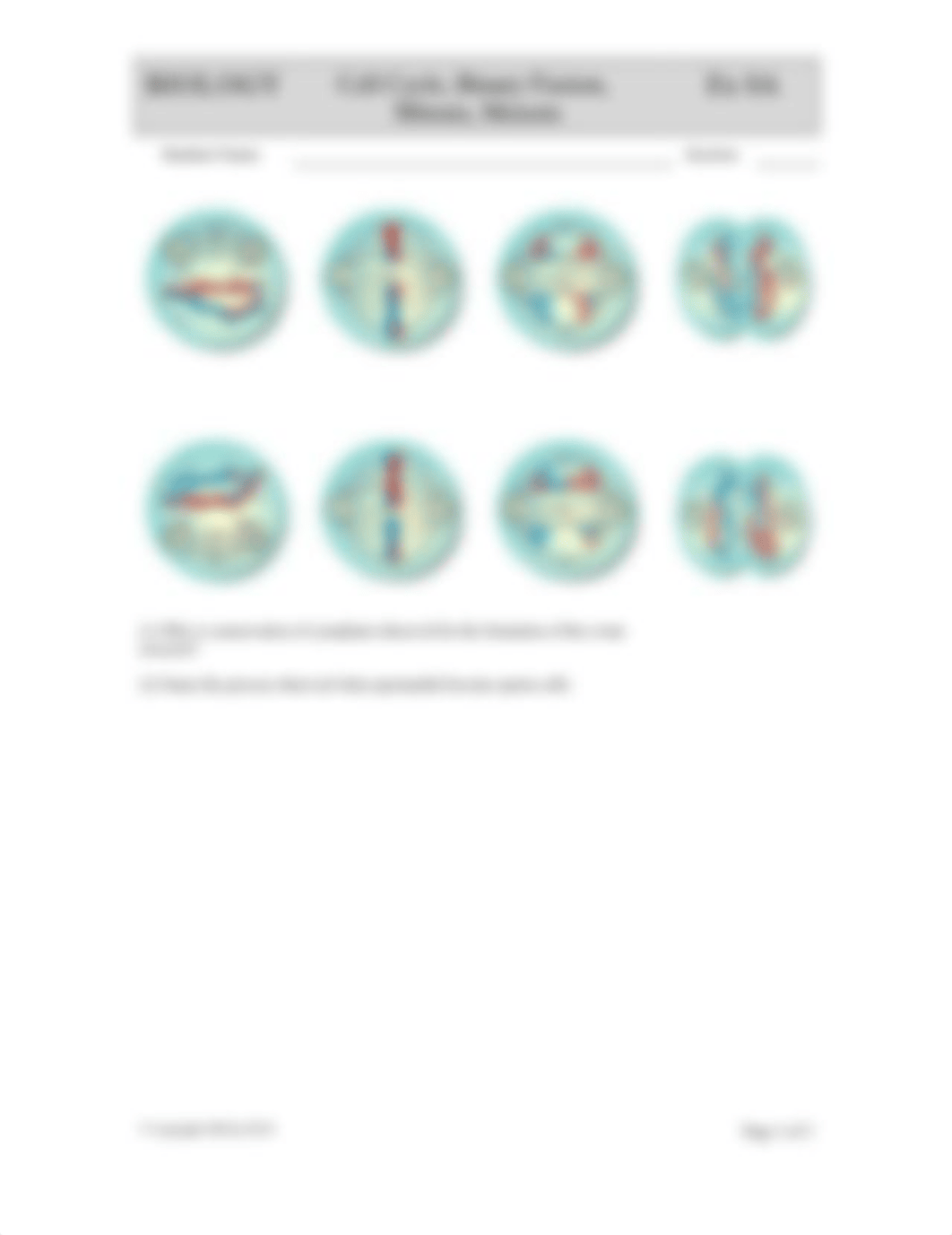 BIOLOGY Exercise 8a Cell Division (4).doc_d8ny9g699ia_page3