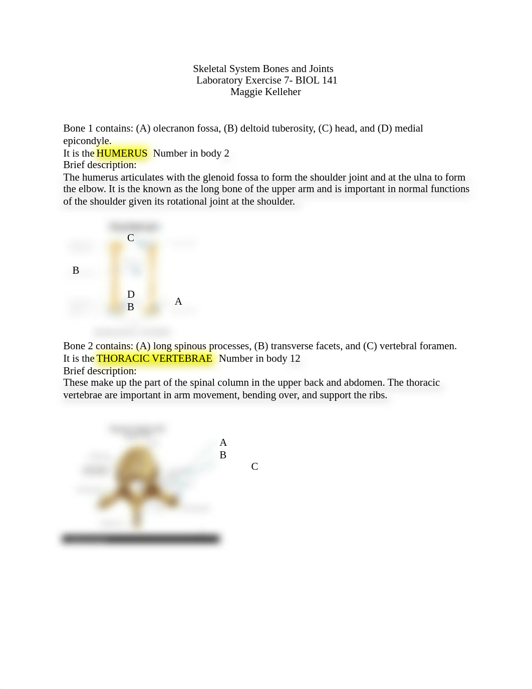 Lab Report 7.docx_d8nzdlxowvt_page1