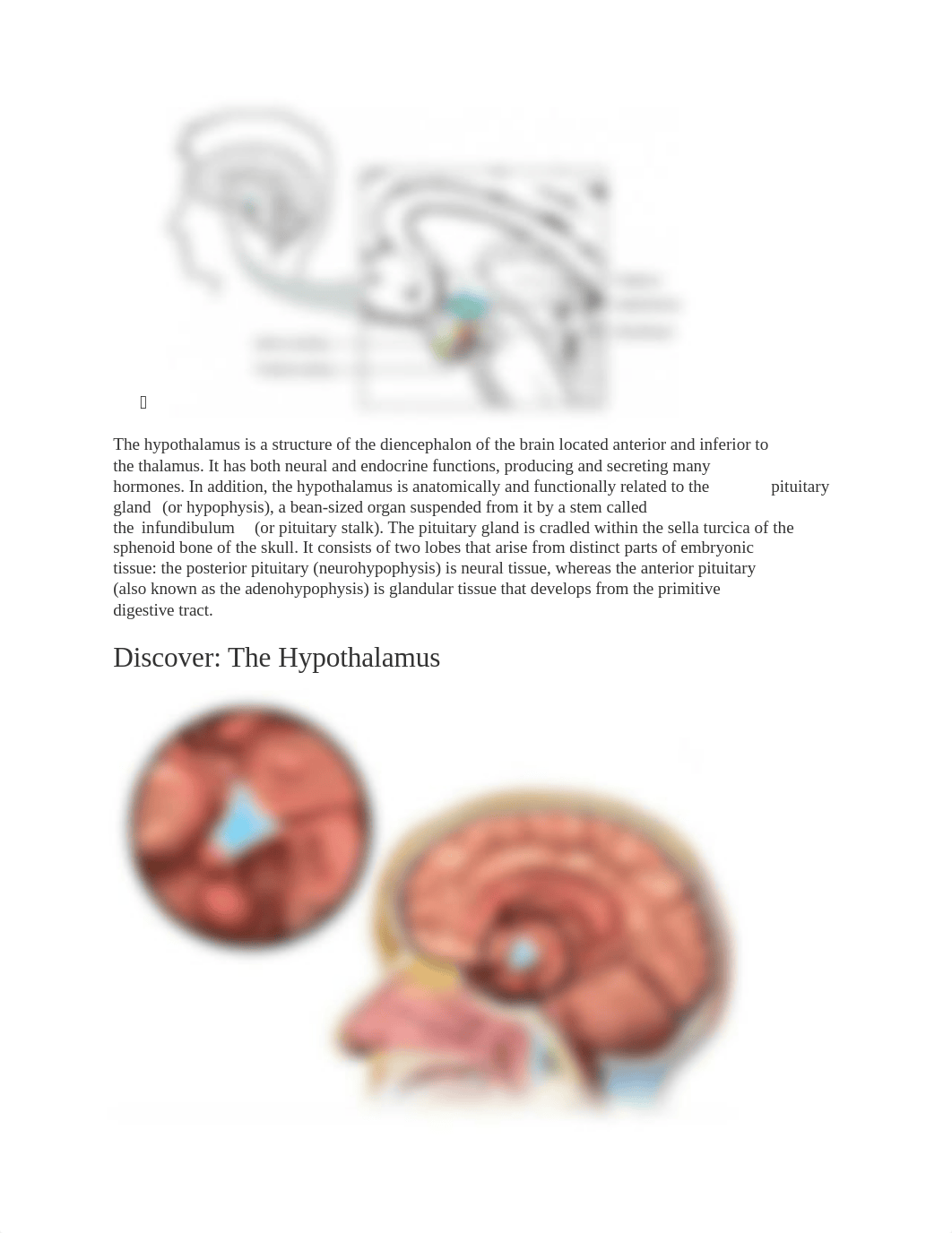 The Hypothalamus-Pituitary Complex and Pineal Gland.docx_d8nzjc20qjj_page2