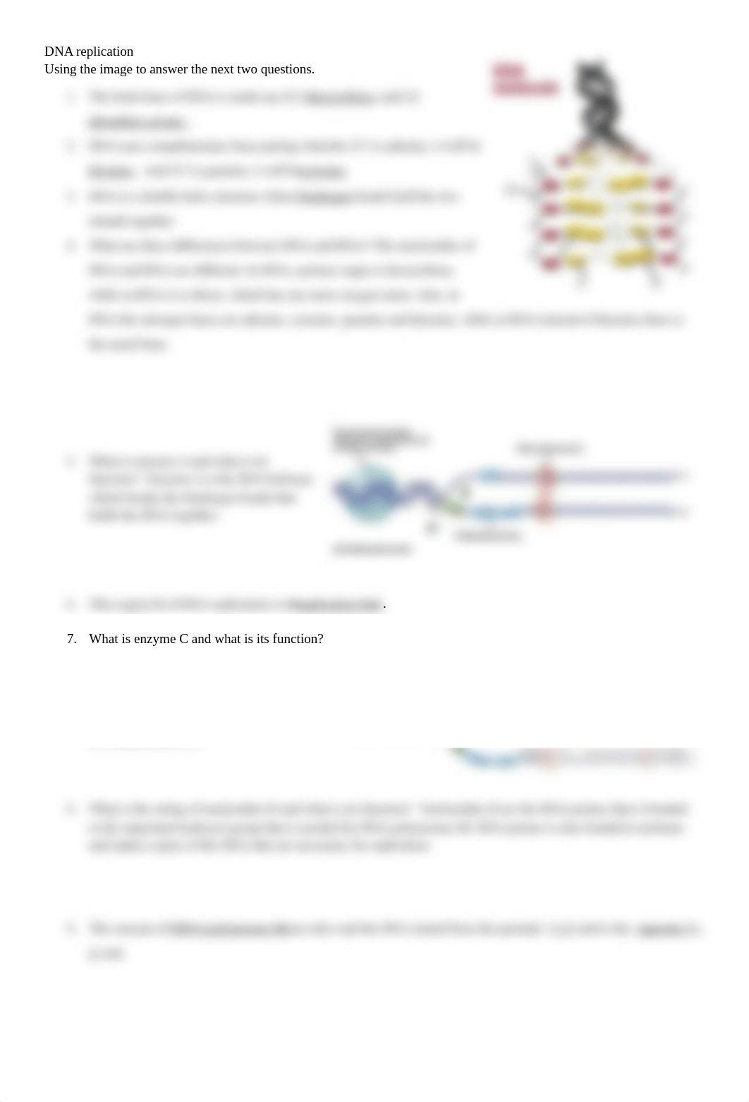 DNA Replication-1.docx_d8o3cn6anyv_page1