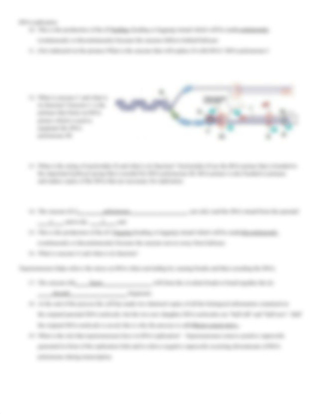 DNA Replication-1.docx_d8o3cn6anyv_page2