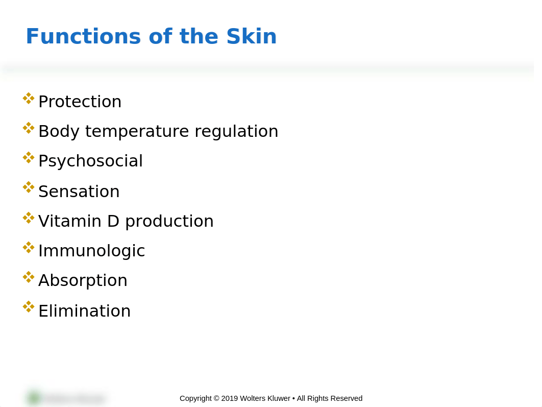 Ch. 32 Skin Integrity & Wound Care PPT.pptx_d8o3d9zjcww_page2