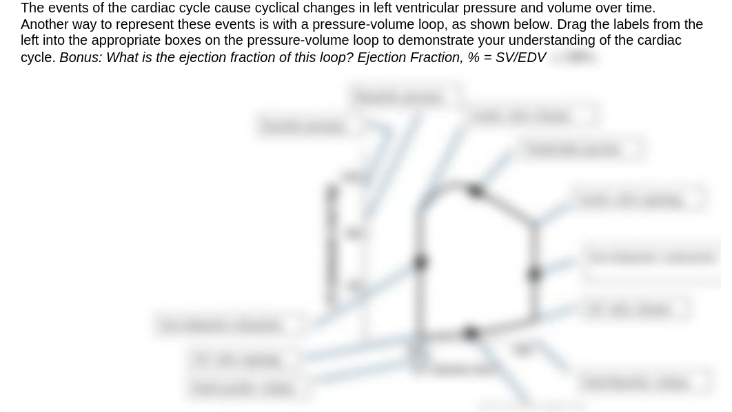 Pressure-Volume Loop Activity 8.8.pptx_d8o76o09lwn_page1