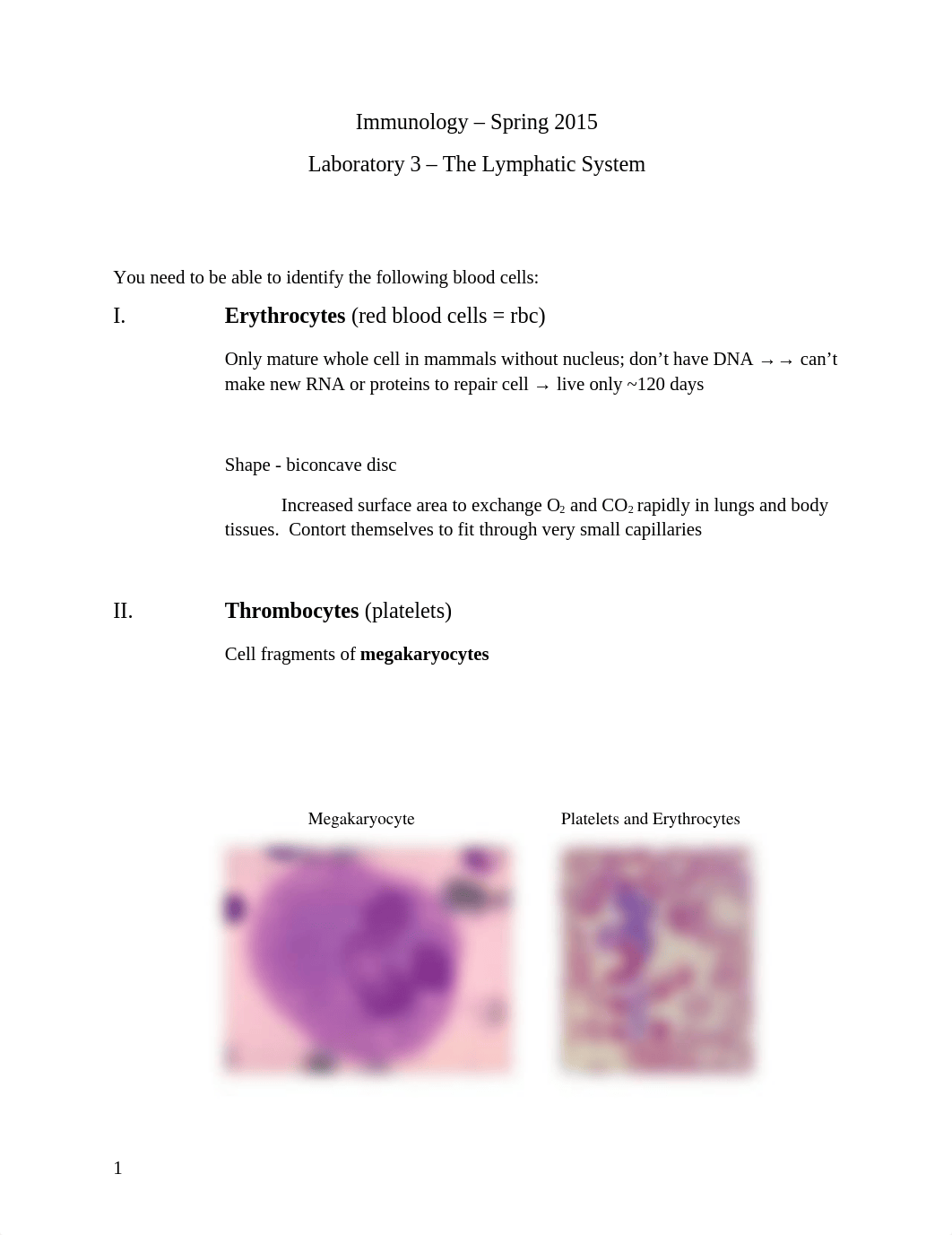 Lab 3 - The Lymphatic System_d8obctyhms4_page1