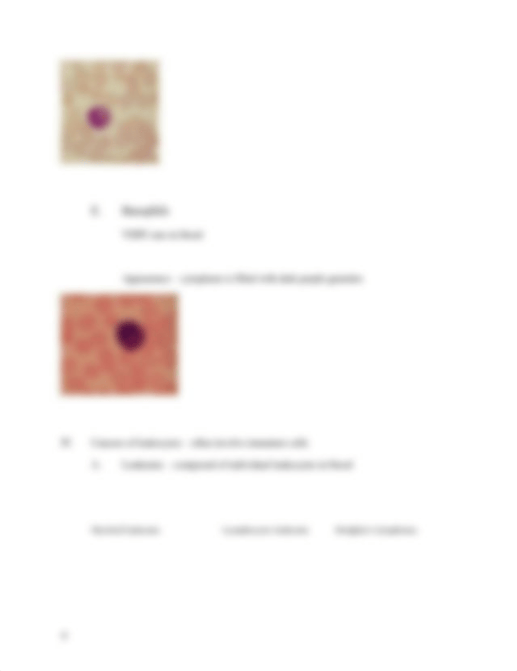 Lab 3 - The Lymphatic System_d8obctyhms4_page4