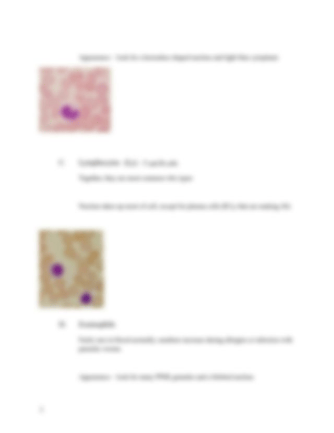 Lab 3 - The Lymphatic System_d8obctyhms4_page3