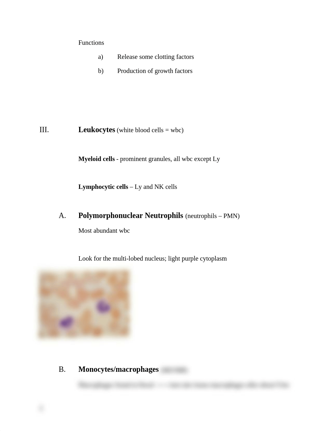 Lab 3 - The Lymphatic System_d8obctyhms4_page2