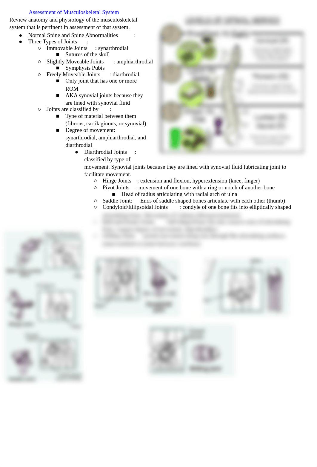 HEALTH ASSESSMENT TEST 3.docx_d8oewurh50u_page2