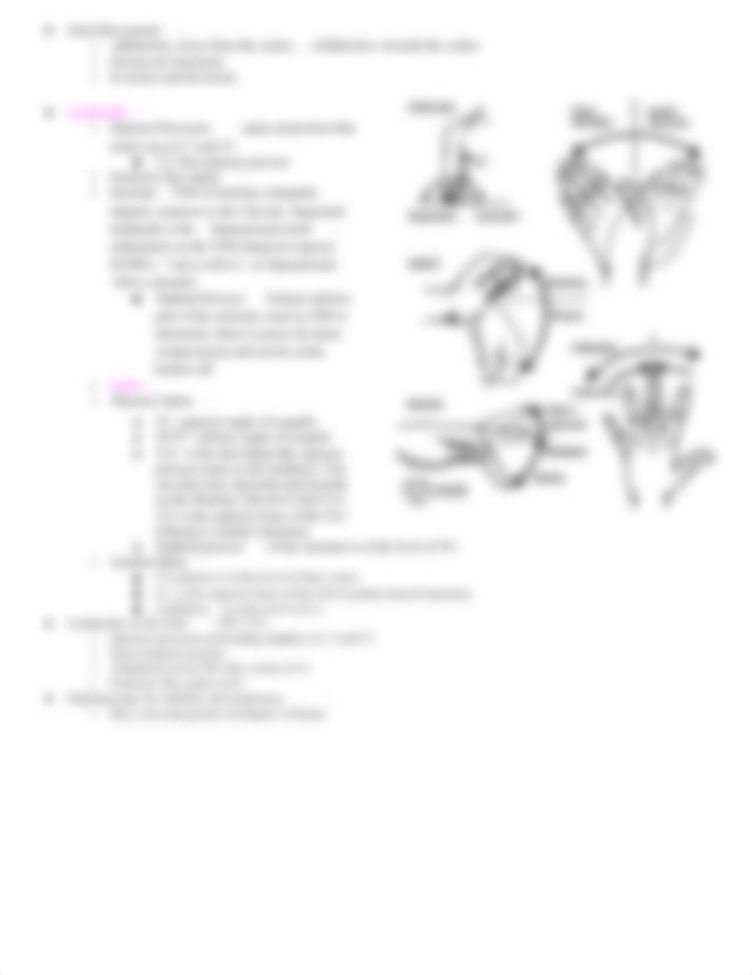 HEALTH ASSESSMENT TEST 3.docx_d8oewurh50u_page3