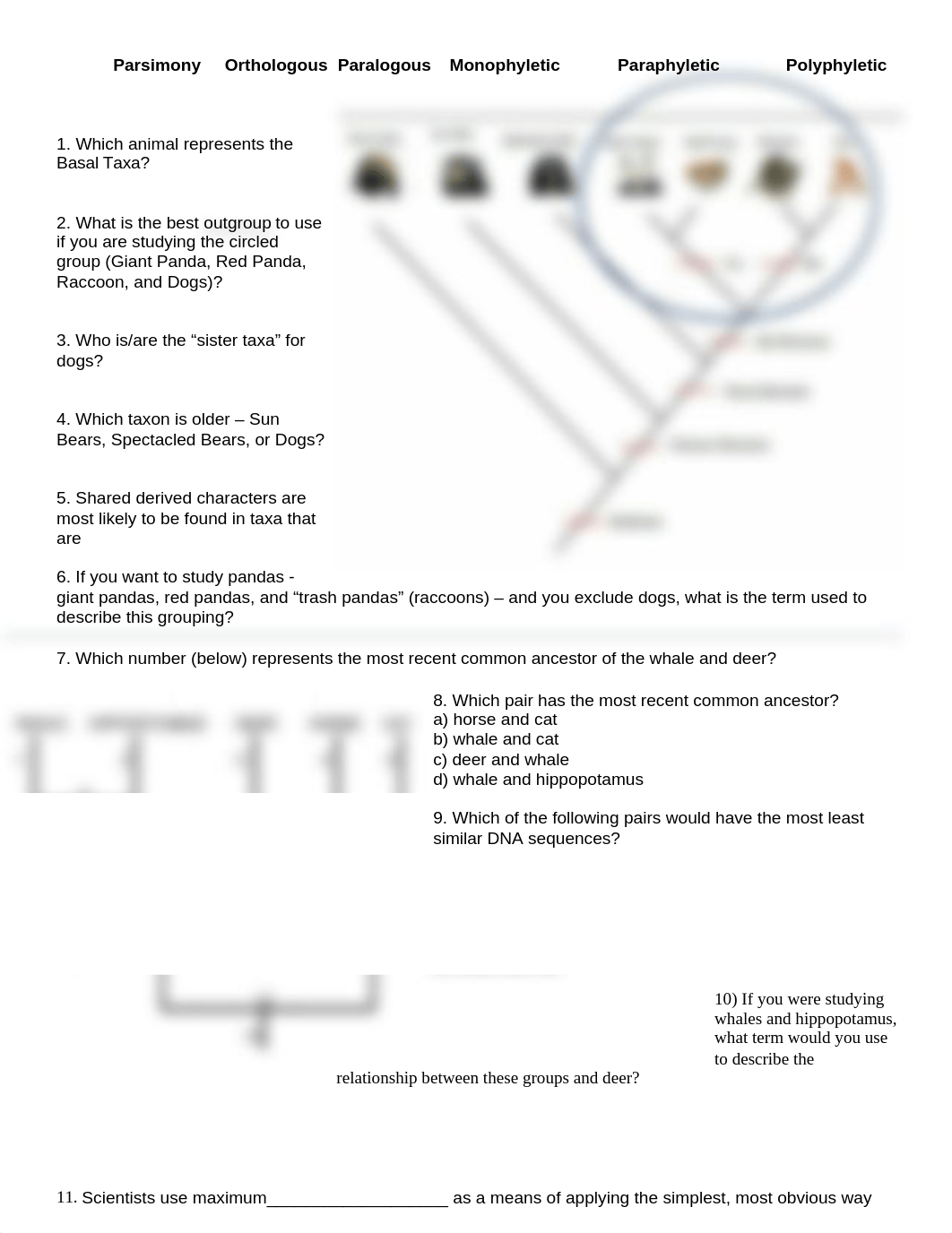 Bio 102 Exam 1 Su22 PRINT-1.doc_d8oo2yvuhgg_page4