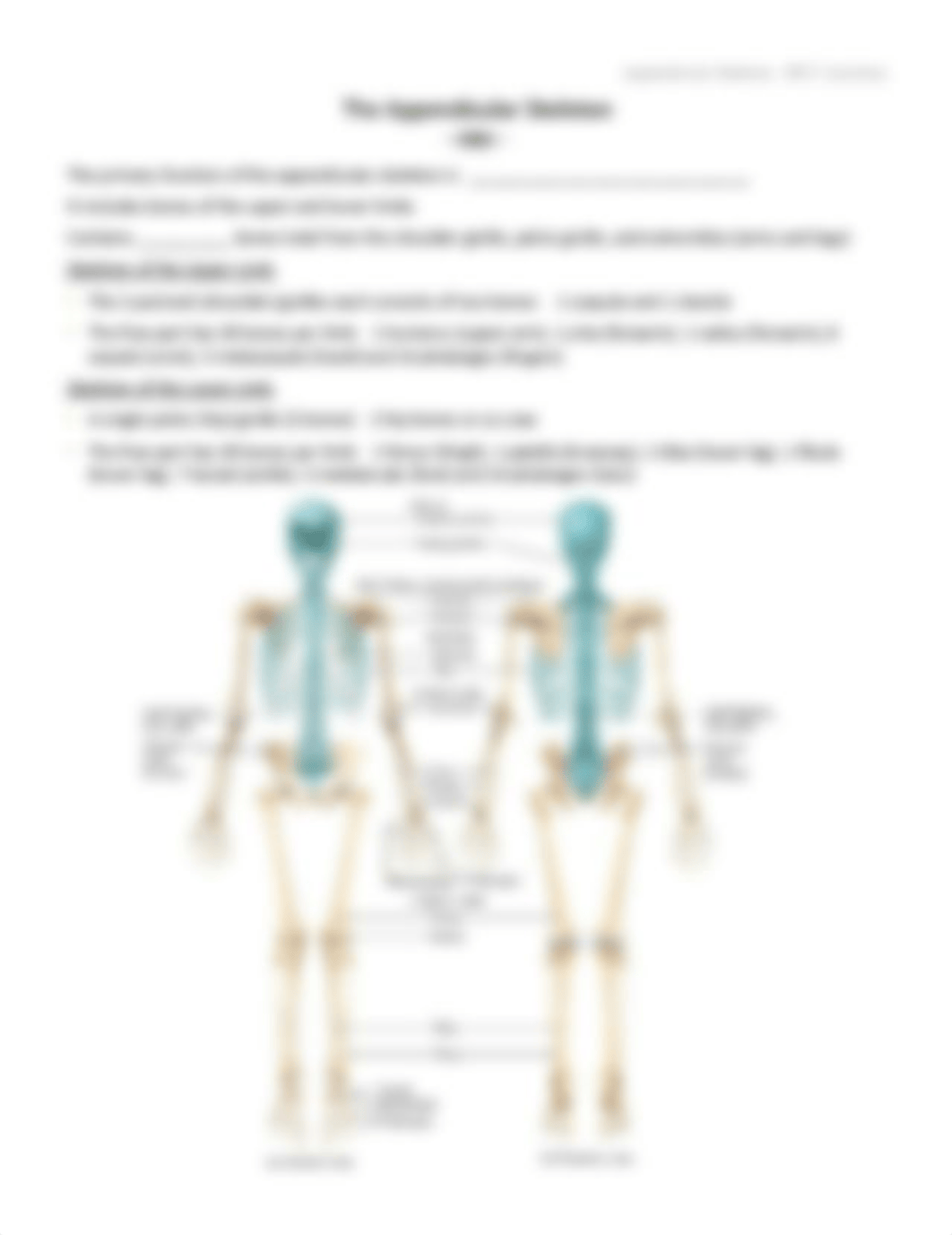 Appendicular Skeleton - Student.pdf_d8oqogv119r_page1