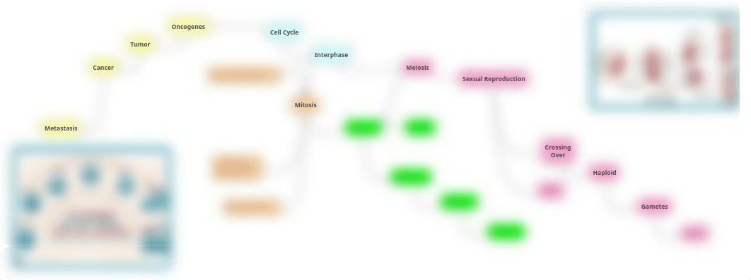 Concept Map - Mod 6.pdf_d8ovm014uvc_page1