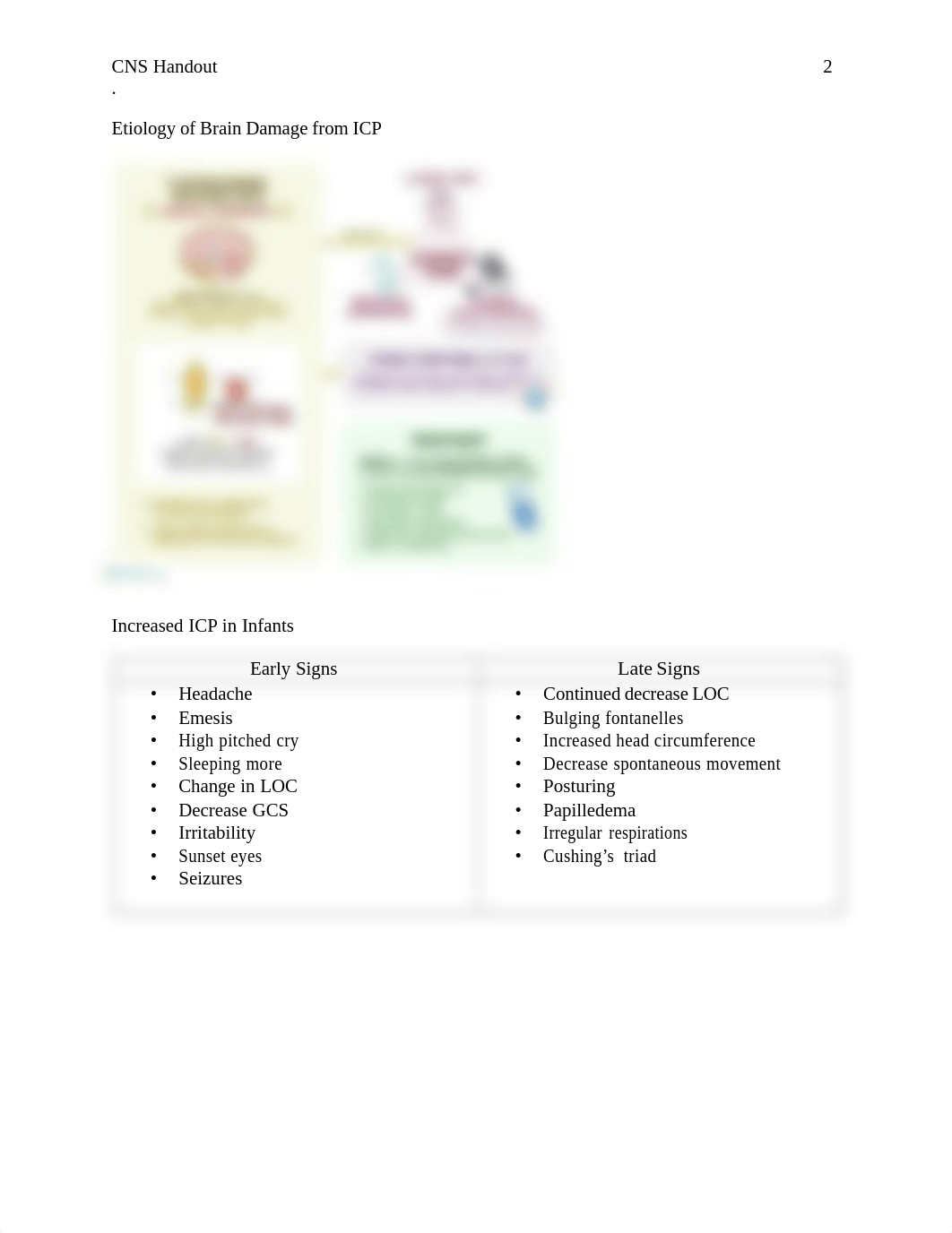 Central Nervous System Handout.pdf_d8oxkxetgdp_page2