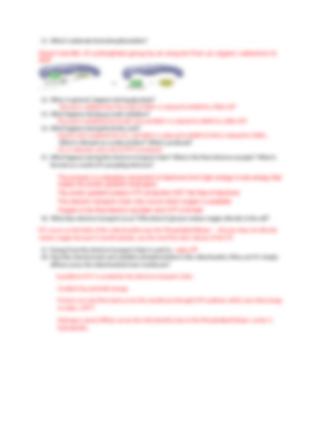 chapter 7 with answers.docx_d8pb7thp3t1_page2