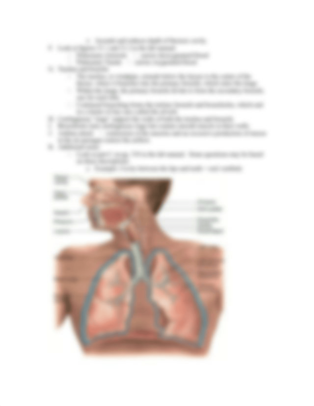 LabPractical-#2-AP2.doc_d8pbmseaj3m_page5