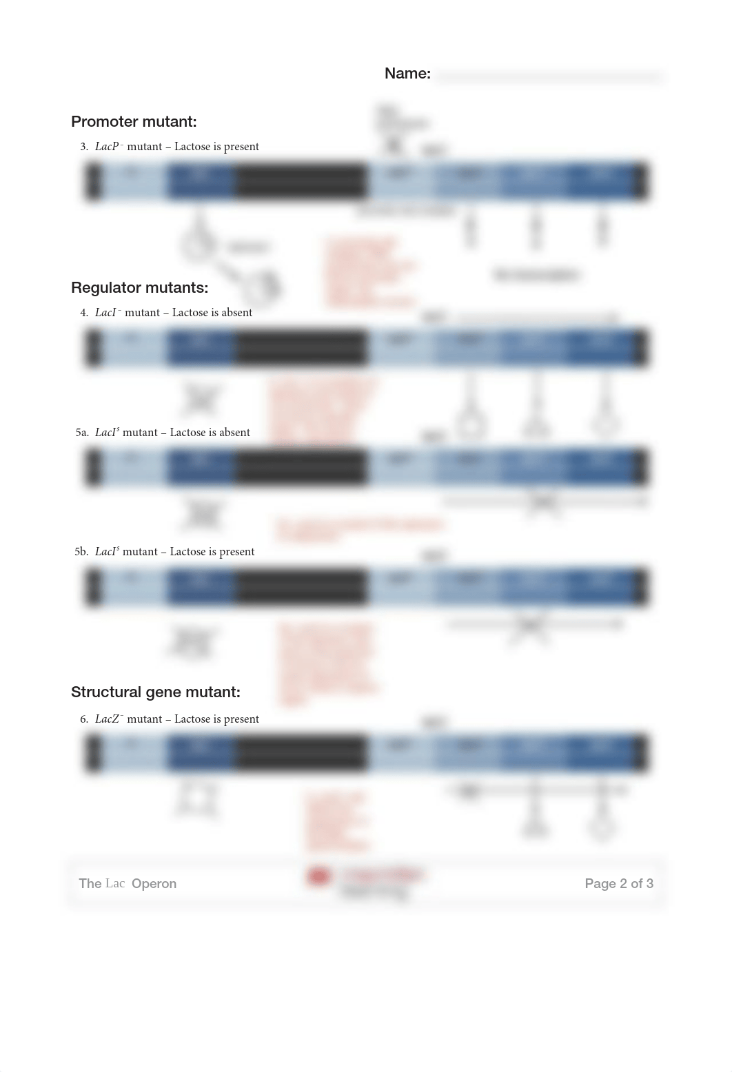 Arcement_GeneExpressionActivity.pdf_d8peub1y97f_page2