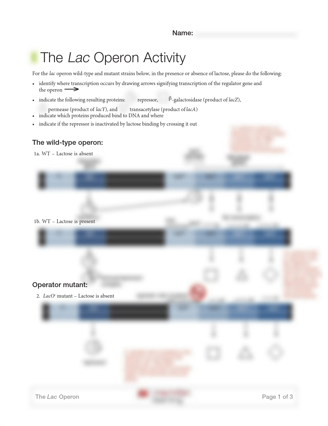 Arcement_GeneExpressionActivity.pdf_d8peub1y97f_page1