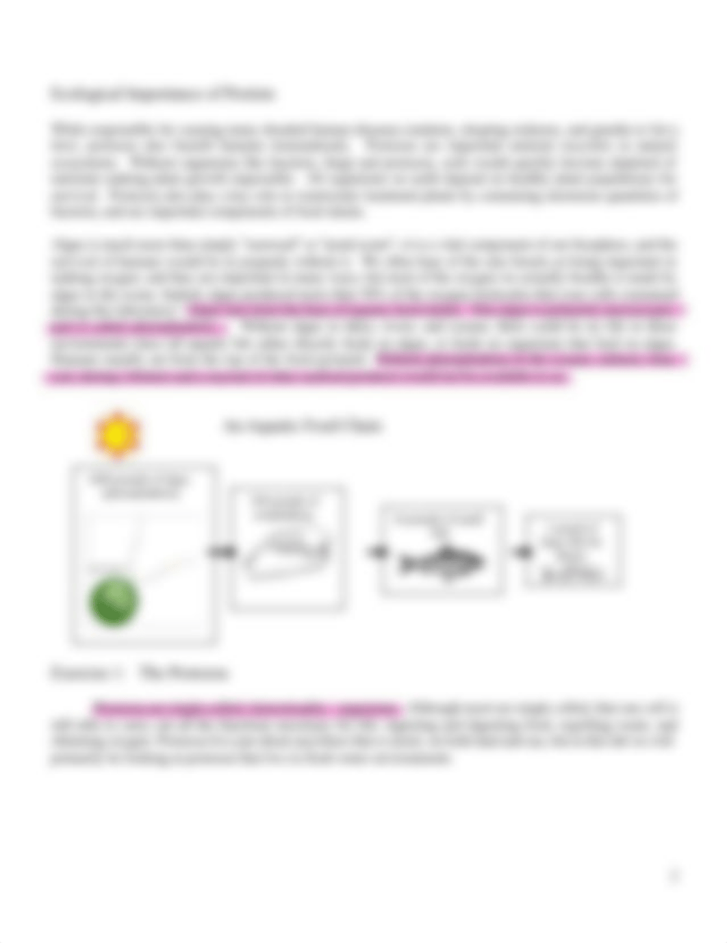 Biology 10L Lab 13.pdf_d8pk1ewak85_page2