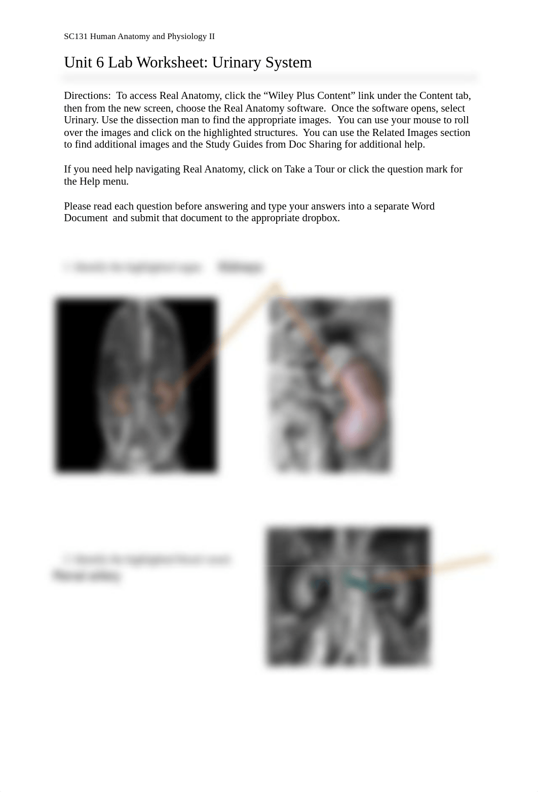 Unit 6 Assignment Real Anatomy WS.pdf_d8pn6d1qfr5_page1