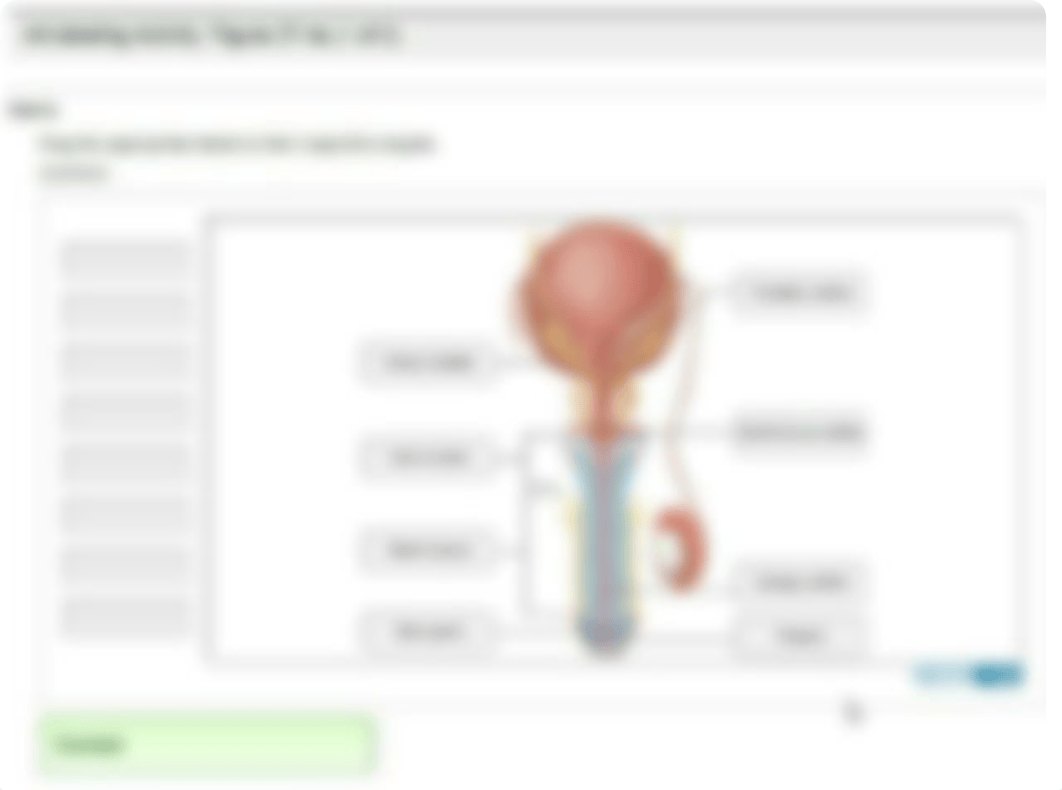 Reproductive Anatomy &amp; Physiology_d8pox0c1ybz_page3