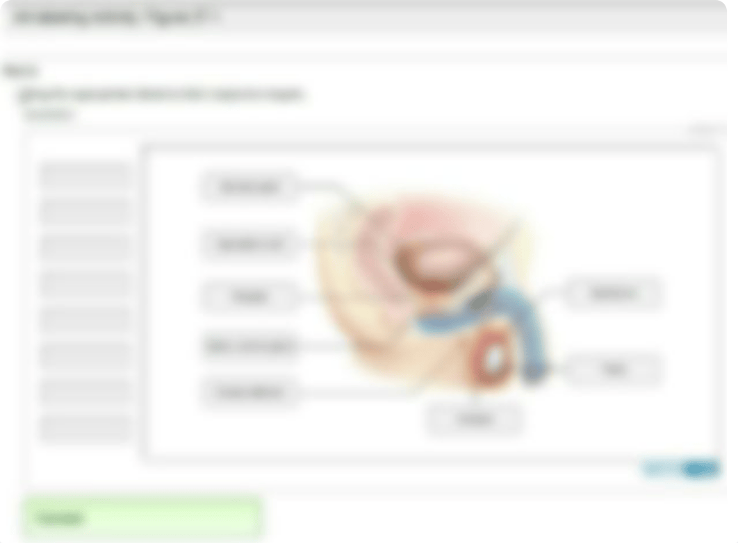 Reproductive Anatomy &amp; Physiology_d8pox0c1ybz_page2