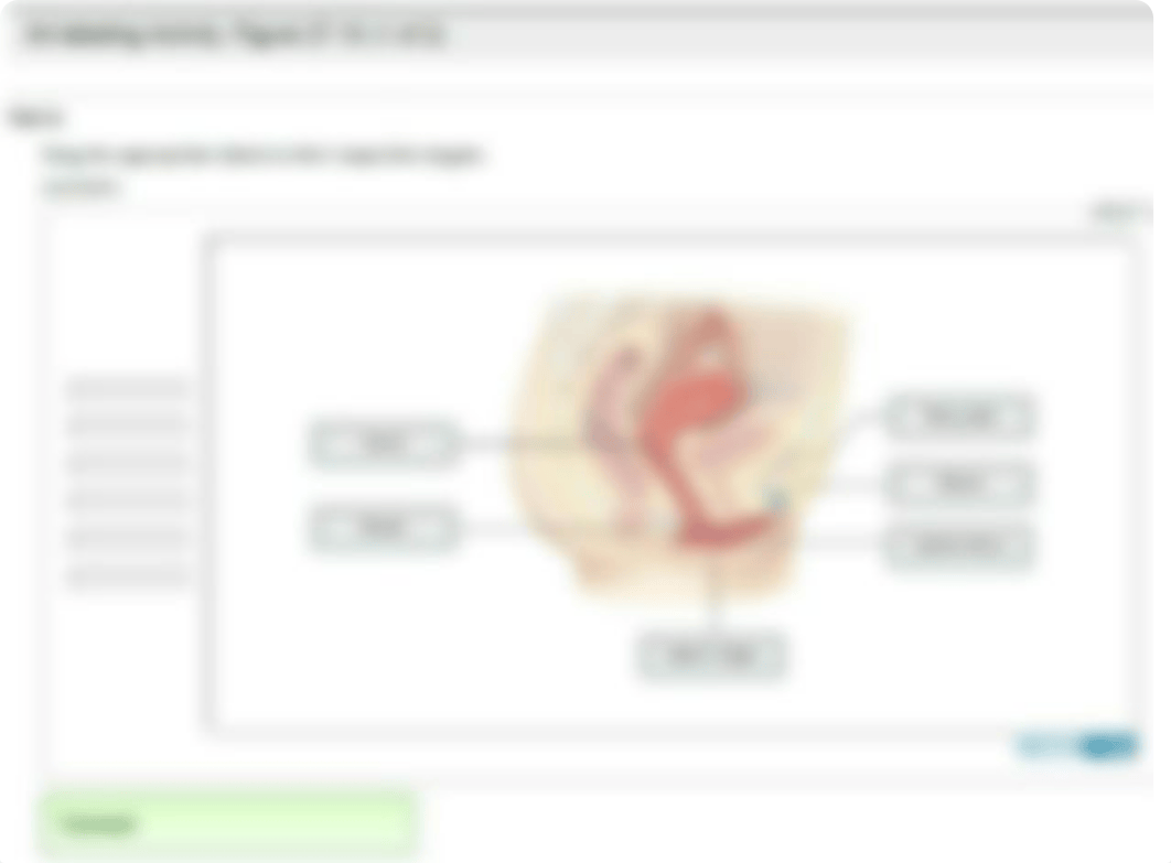 Reproductive Anatomy &amp; Physiology_d8pox0c1ybz_page5