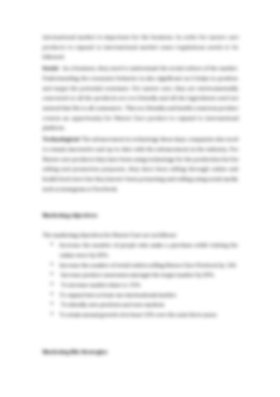 marketing plan assignment 2.docx_d8pqdiiqoie_page3