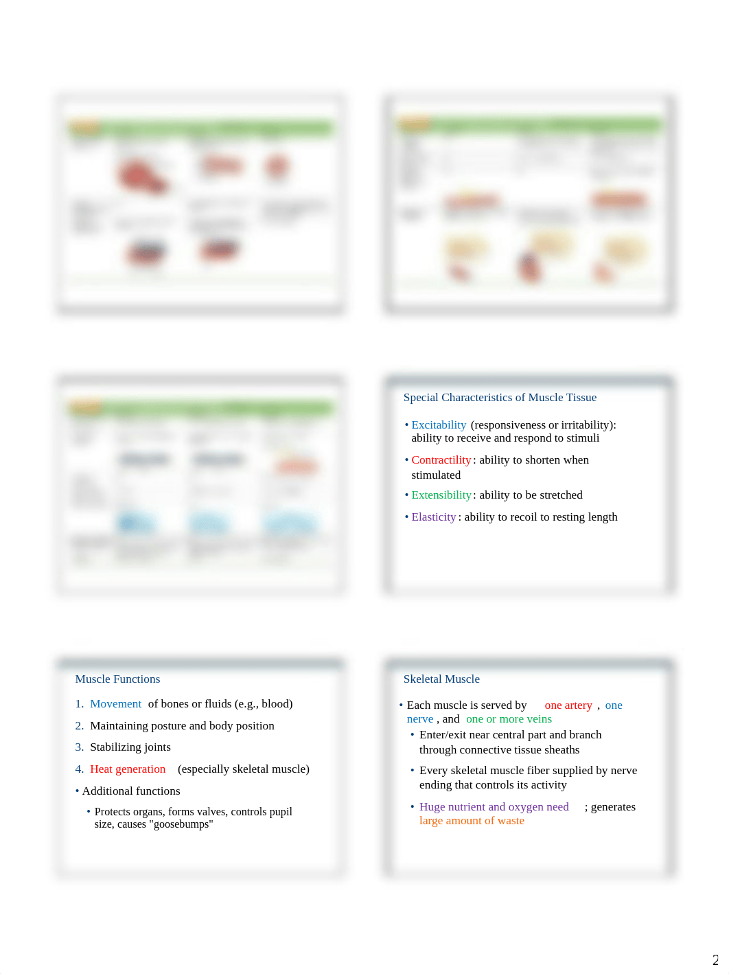 Ch09_Muscles_Slides_PartA.pdf_d8pv08bmqw8_page2