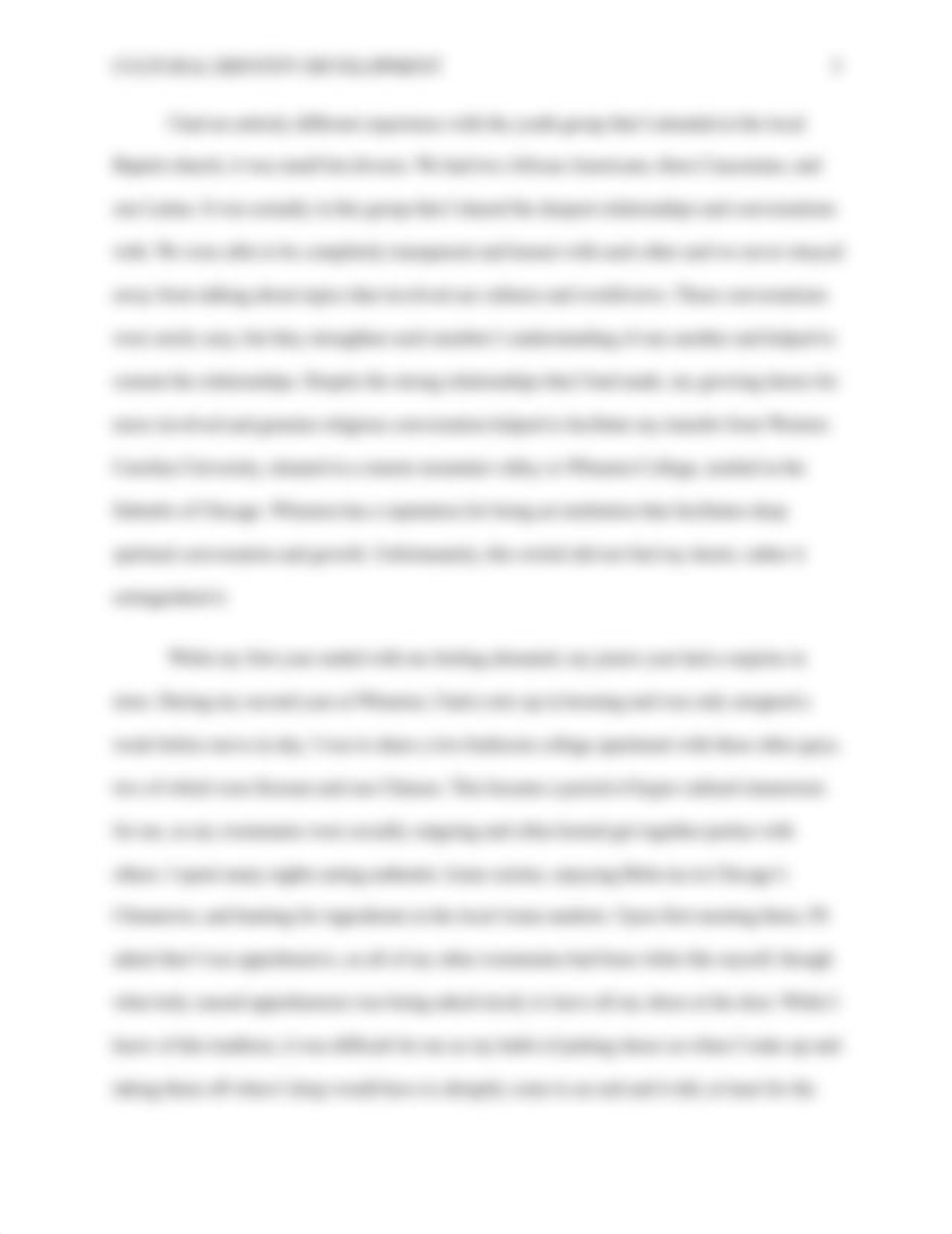 545051546-ads-cns-747-cultural-identity-development.docx_d8pv7wizair_page5