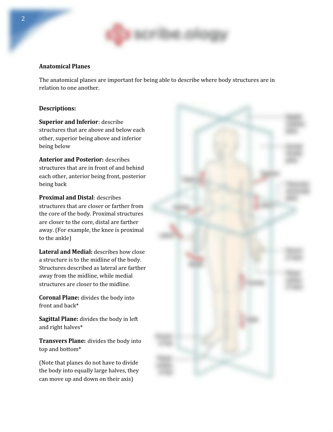 Orientation Study Materials.pdf_d8pz80qhche_page3