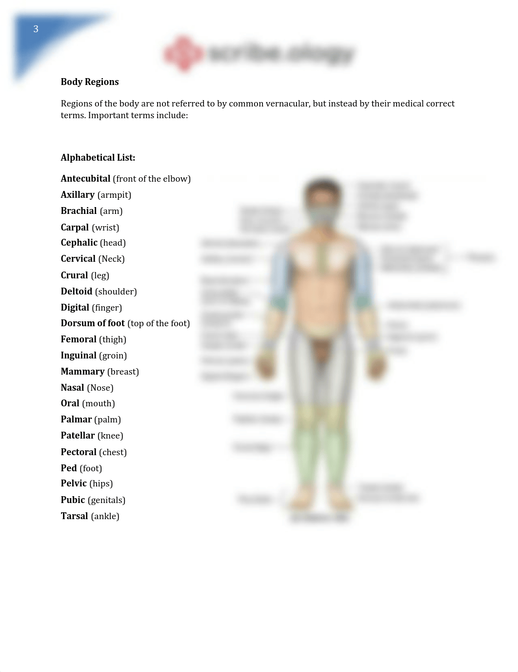 Orientation Study Materials.pdf_d8pz80qhche_page4